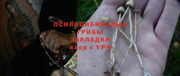 ALPHA PVP Аркадак