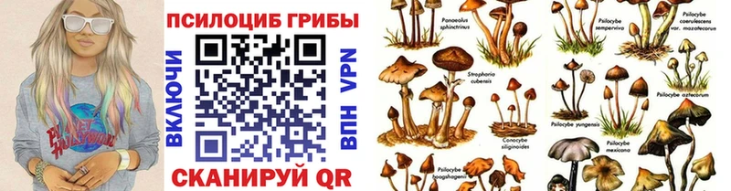 Галлюциногенные грибы Psilocybine cubensis  магазин продажи наркотиков  Северо-Курильск 